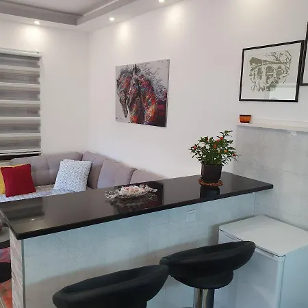 Apartment Studio Milenic *